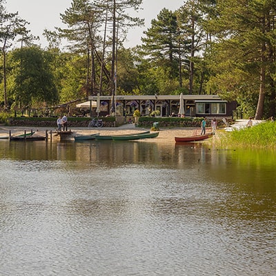 Voor (kleine) kinderen biedt de Berkenplas een prachtig speelstrand met zwemwater. De Berkenplas maakt onderdeel uit van de Speelnatuur Schiermonnikoog. Er zijn rond de plas diverse speelatributen opgesteld en er is een sfeervol en ontspannen drink- & eethuis met zonneterras. In de zomermaanden kun je er kanohuren of pijl en boogschieten.