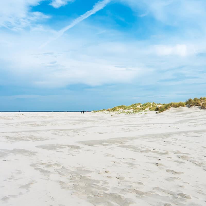 De zon op je gezicht, de wind in je haren en kilometerslange kust waar je kunt genieten van zee & strand. De stranden Van Schiermonnikoog worden gerekend tot de breedste stranden van Europa. Je kunt er heerlijk wandelen of langs de vloedlijn strandjutten.